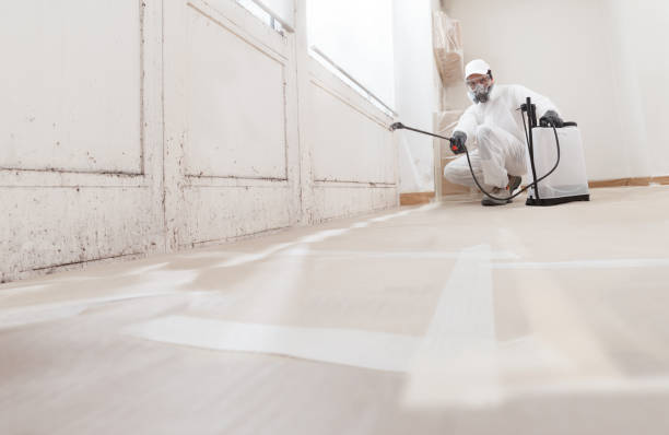 24/7 Emergency Bathroom Mold Removal experts in Nashville, GA